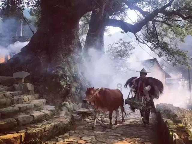 待售的房屋
