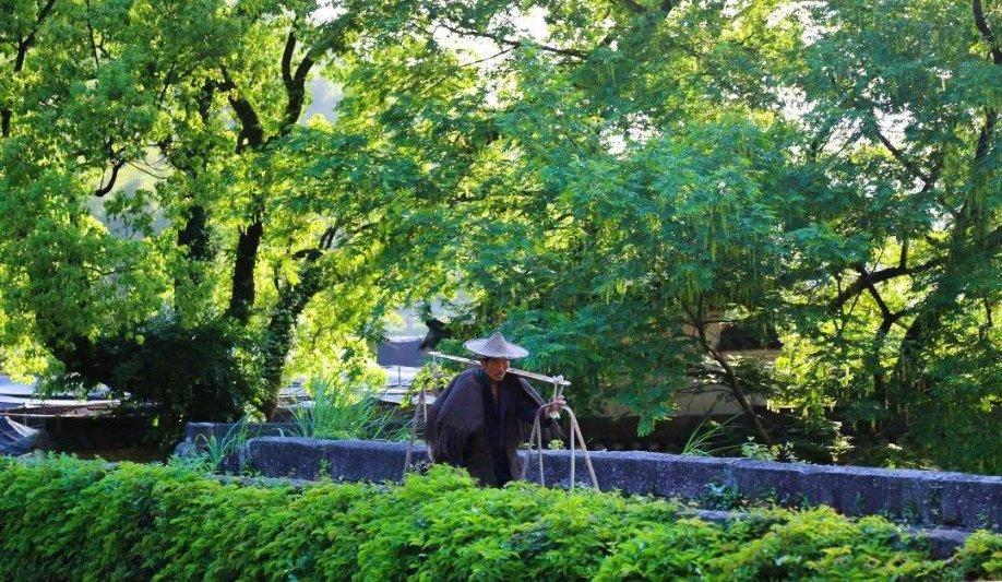 植物大战僵尸8