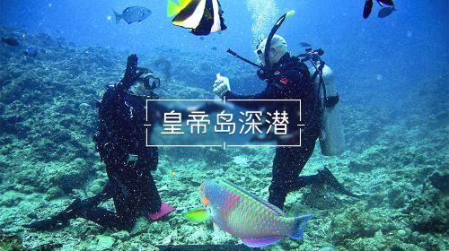 你愿意为你的另一半放弃铁饭碗吗？