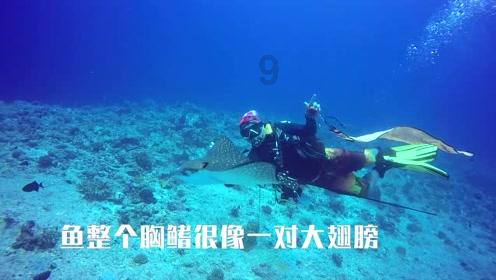 击碎怪蛋军团