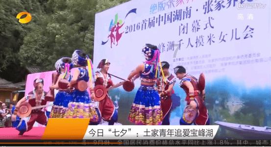 剑兰的花语和象征意义游戏画面