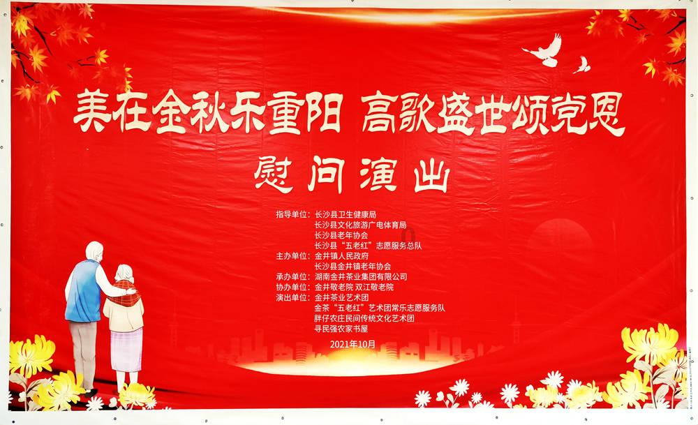 植物大战僵尸11