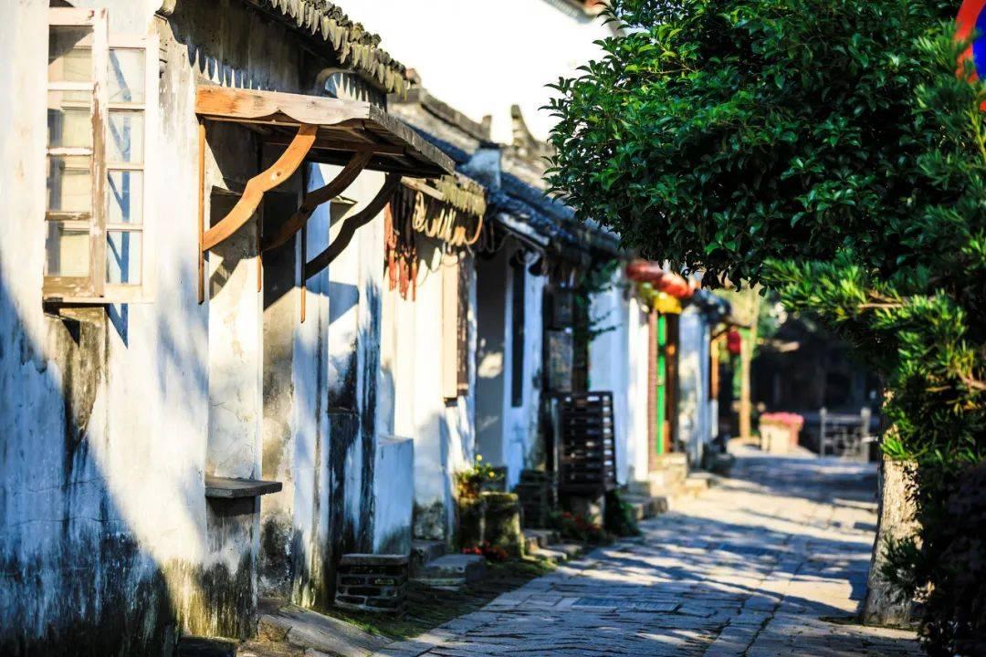 逗小猴开心系列199